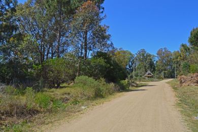 Season Rentals  Maldonado Punta Colorada