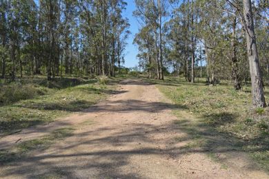 Venda  Maldonado Piripolis