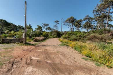 Season Rentals  Maldonado Punta Colorada