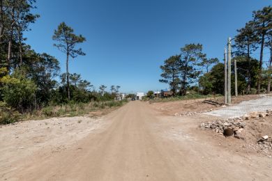 Venda  Maldonado Punta Colorada