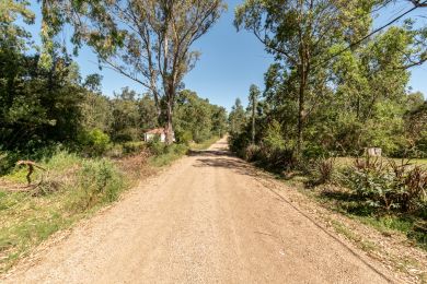 Season Rentals  Maldonado Punta Colorada