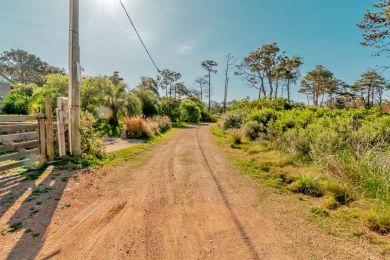 Season Rentals  Maldonado Punta Colorada