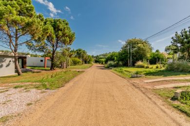 Venda  Maldonado Punta Colorada