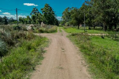 Venta  Maldonado Barra de Portezuelo
