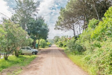 Venta  Maldonado San Francisco