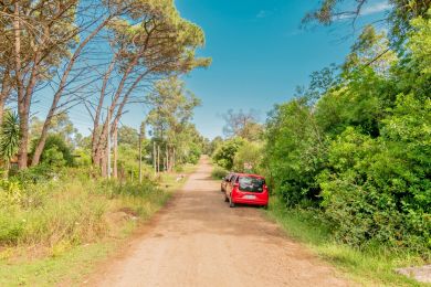 Venta  Maldonado San Francisco