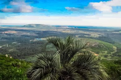 Venta  Maldonado Piripolis