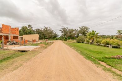 Alquiler Temporal  Maldonado Punta Negra