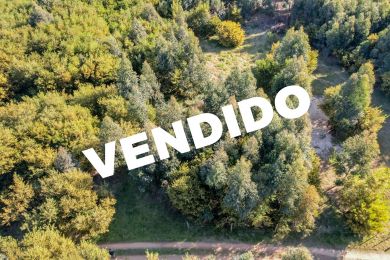 Venta  Maldonado Barra de Portezuelo