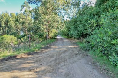 Venta  Maldonado Punta Fra