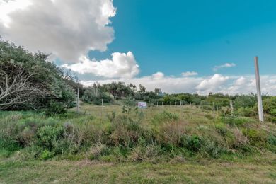 Venta  Maldonado Barra de Portezuelo