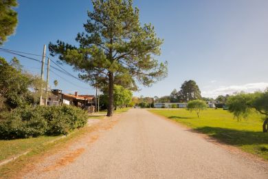 Venta  Maldonado Piripolis