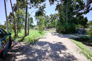 Venta, Alquiler Temporal  Maldonado Las Flores