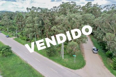 Venta  Maldonado Punta Negra