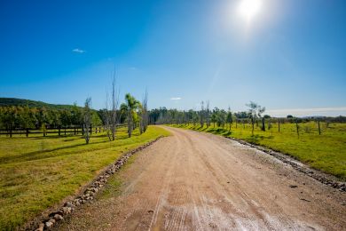 Venta  Maldonado Playa Hermosa