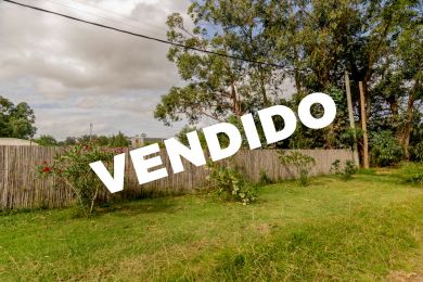 Venta  Maldonado Punta Negra