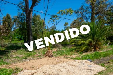 Venta  Maldonado Sols