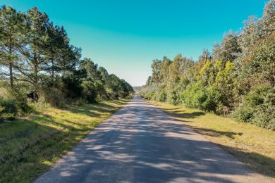 Venta  Maldonado Punta Colorada