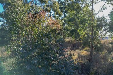 Venta  Maldonado Barra de Portezuelo