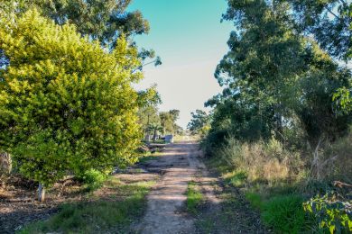 Venta  Maldonado Barra de Portezuelo