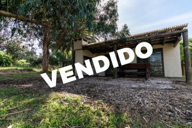 Venta  Maldonado Punta Fr�a