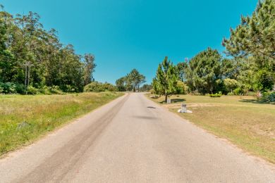 Alquiler Temporal  Maldonado Punta Colorada