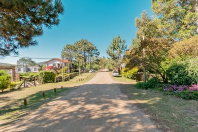 Alquiler Temporal  Maldonado Punta Colorada