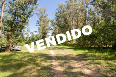 Venta  Maldonado Bella Vista
