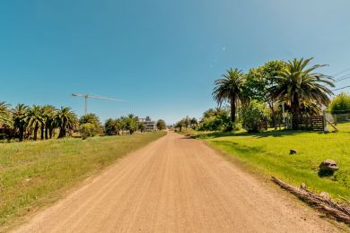 Alquiler Temporal  Maldonado San Francisco