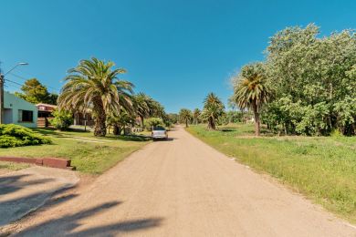 Alquiler Temporal  Maldonado San Francisco