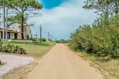 Alquiler Temporal  Maldonado Punta Colorada