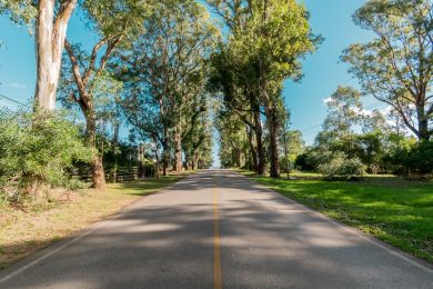 Venta, Alquiler Temporal  Maldonado Punta Colorada