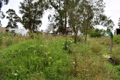 Venta  Maldonado Piripolis