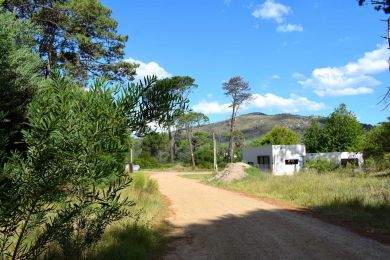 Venta  Maldonado Piripolis