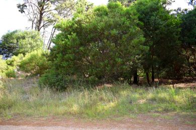 Venta  Maldonado Piripolis