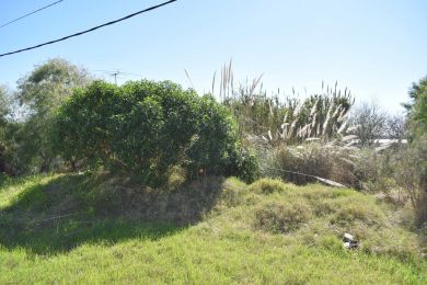 Venta  Maldonado Piripolis