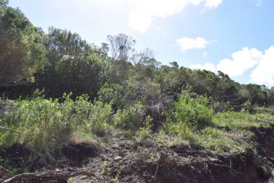 Venta  Maldonado Playa Verde