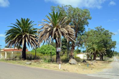 Venta  Maldonado Punta Fra