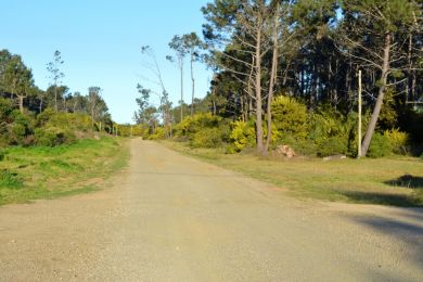 Season Rentals  Maldonado Punta Colorada