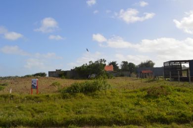 Venta  Maldonado Punta Negra