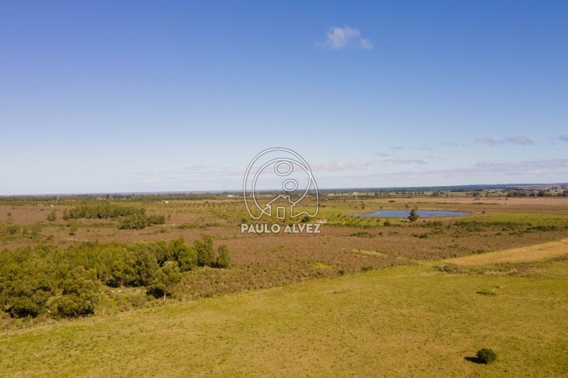 Imagen panorámica