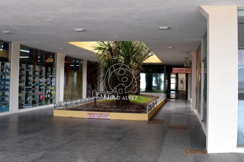 Con galer&iacute;a comercial