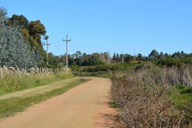 Season Rentals  Maldonado Punta Negra