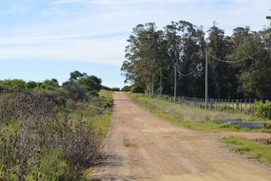 Season Rentals  Maldonado Punta Negra