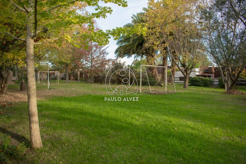 Parque