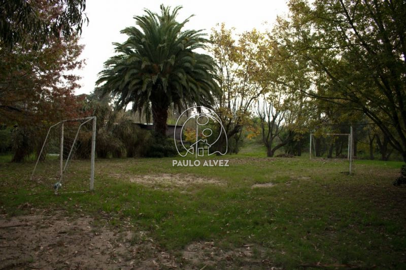 Parque 