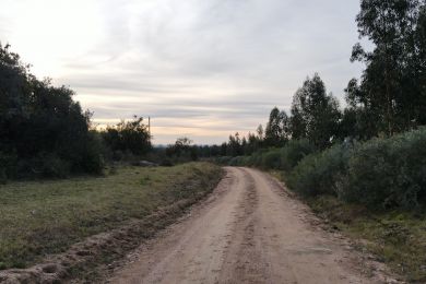 Venda  Maldonado Barra de Maldonado