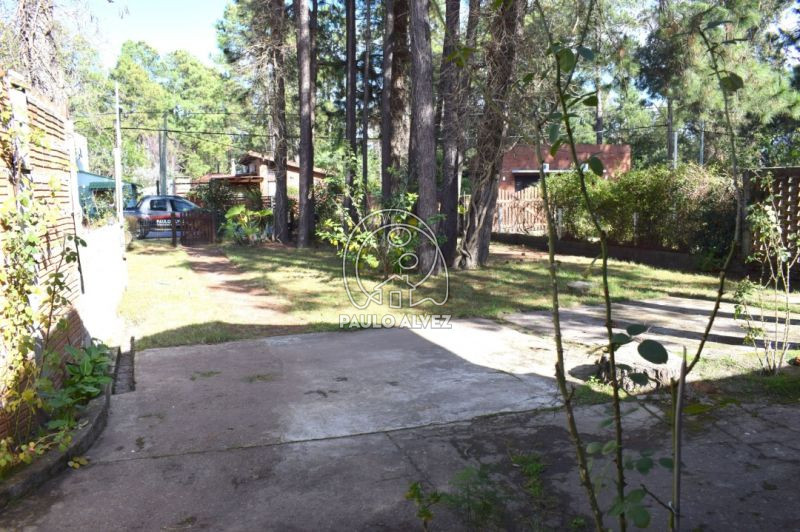 Jardín
