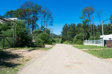 Alquiler Anual  Maldonado Piripolis