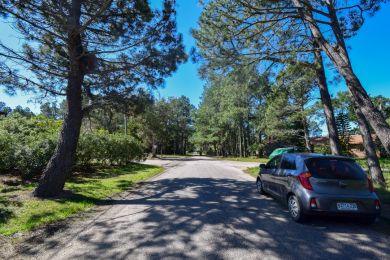 Venta, Alquiler Temporal  Maldonado Piripolis